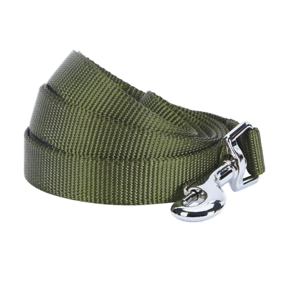 Blueberry Pet Essentials Small Dog Leash 5' x 5/8" Military Green